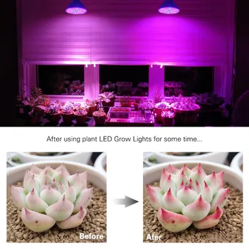 60 126 200 LED vækst Lys Pære til Planten Blomst grøntsagsdyrkning Indendørs Drivhus Hydroponics Vokse lampen E27 AC85V-265V