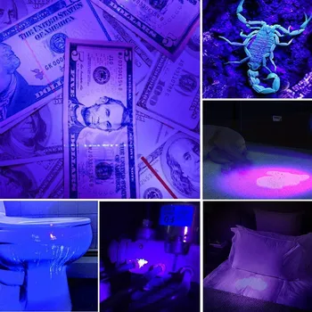 Led-UV-Lommelygte Zoom Fakkel Bærbare Mini-Lygter Ultraviolet Lampe Sort Lys Pet Urin Pletter Detektor Udendørs Jagt