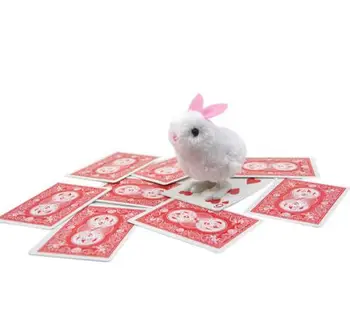 Nye Ankomst Smart Kanin/ Kanin, Der Søger Kort Forudsigelse Tæt Op Street Magic Tricks Let At Gøre Tryllekunstnere Magic Børn